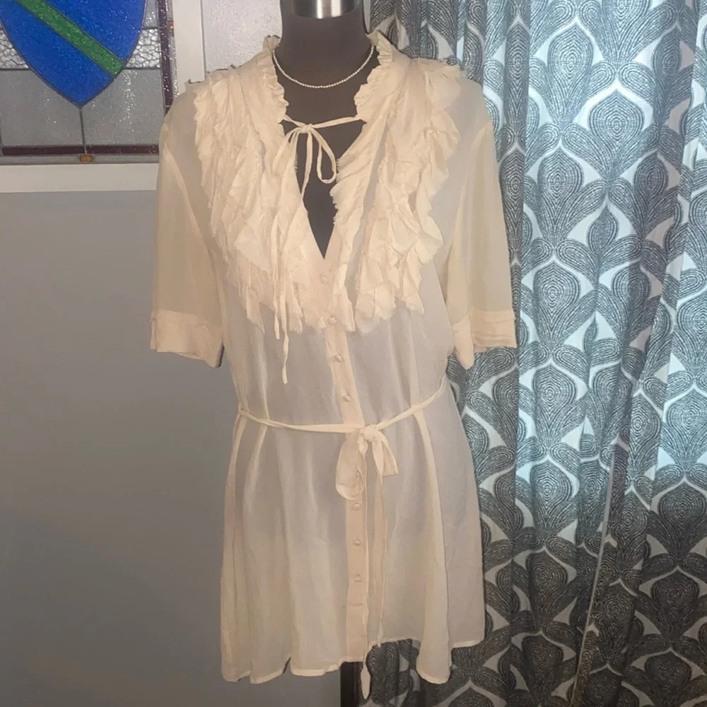 Project Alabama 100% silk sheer mini dress
